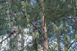 Resize of DSC02192.JPG